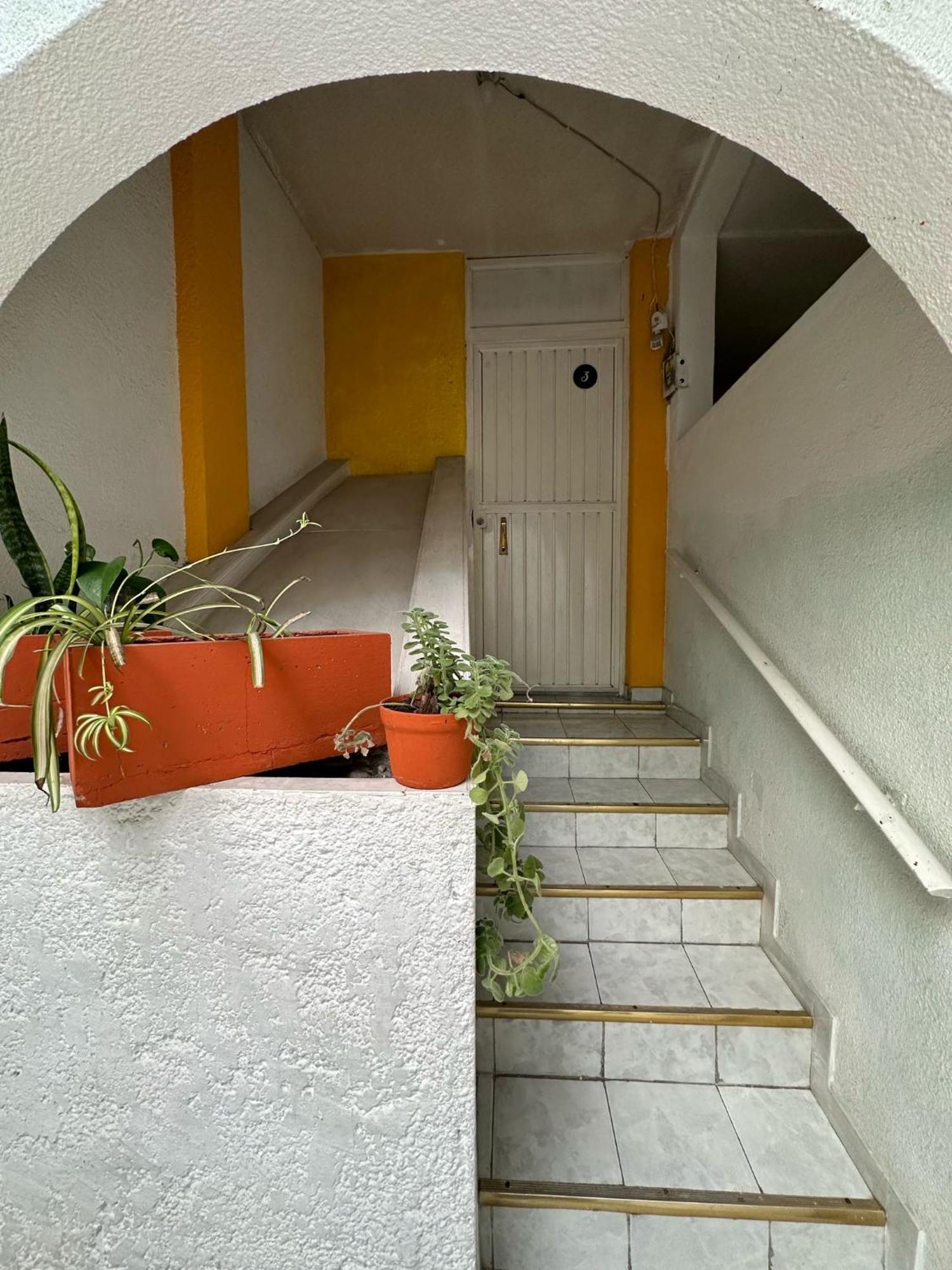 Hotel Jardin